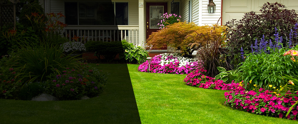 Townville Landscapers